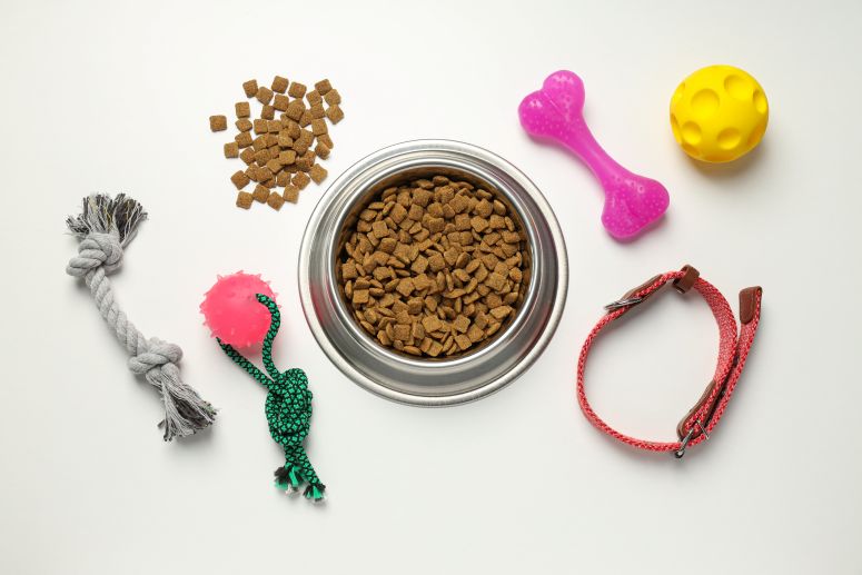 Mix de produtos pet com ração, brinquedos e acessórios para cães