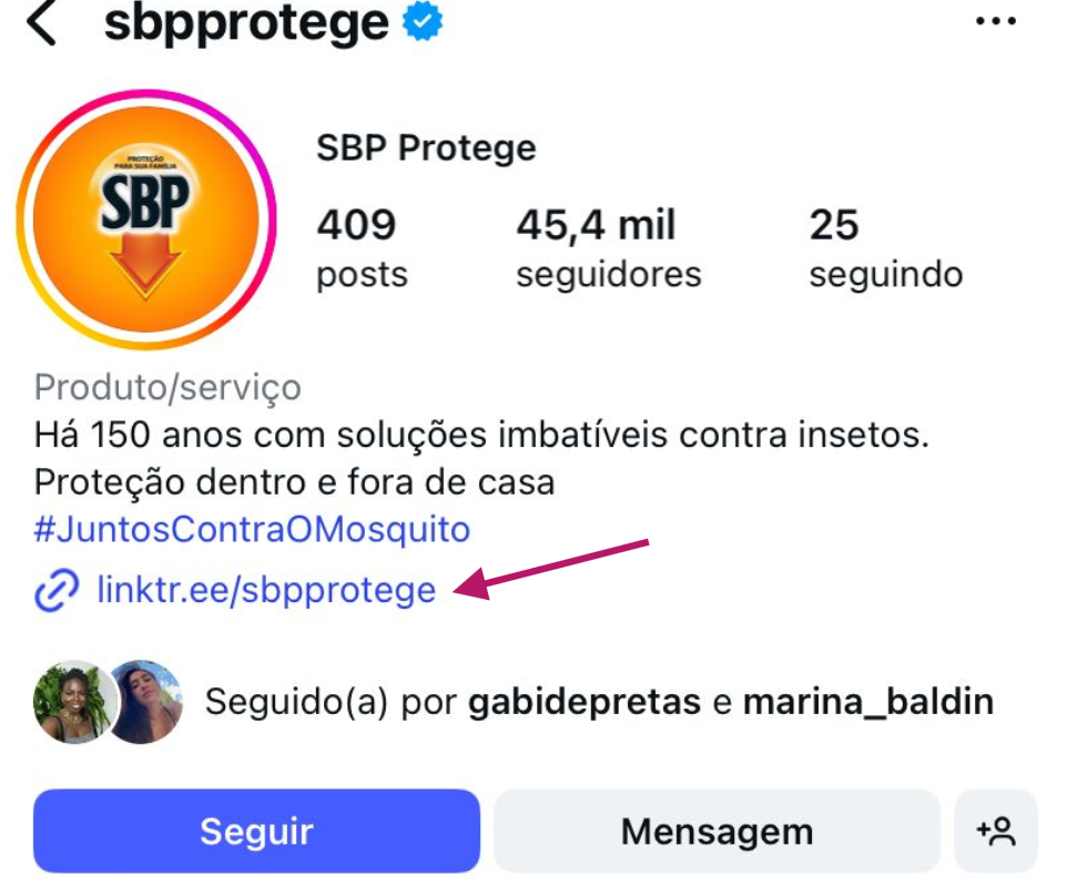 Exemplo de bio usando o Linktree para reunir os links importantes em uma única página. 